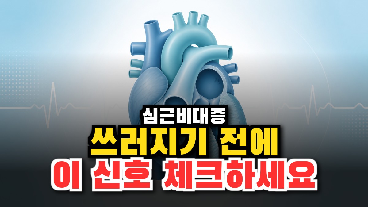 심근비대증이란? 증상·원인·자가체크·돌연사 예방 총정리 (2026) 썸네일